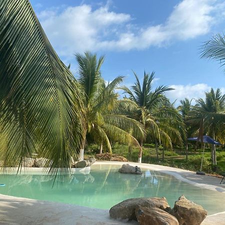Casa Las Palmas Playa La Saladita Zihuatanejo Esterno foto