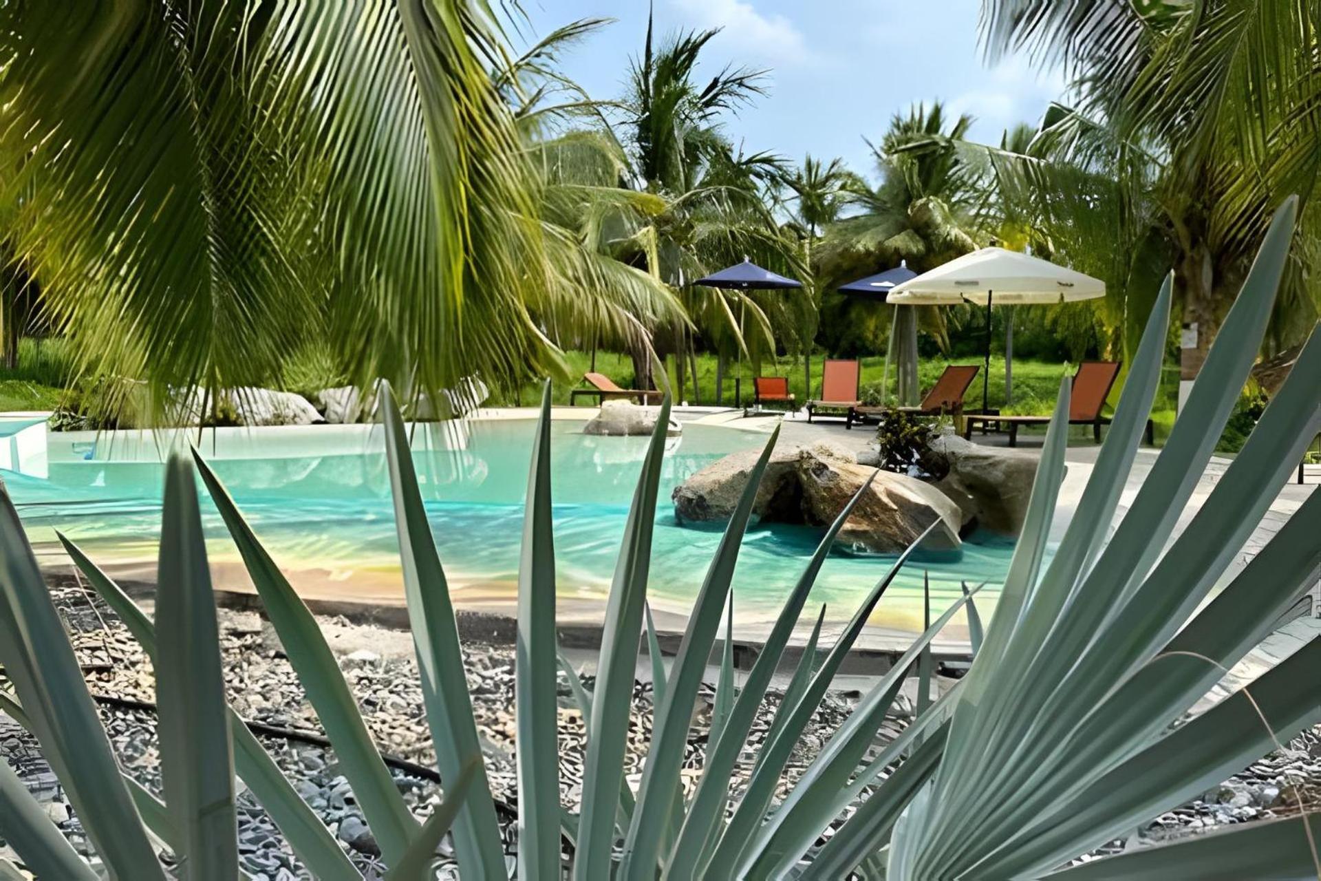 Casa Las Palmas Playa La Saladita Zihuatanejo Esterno foto