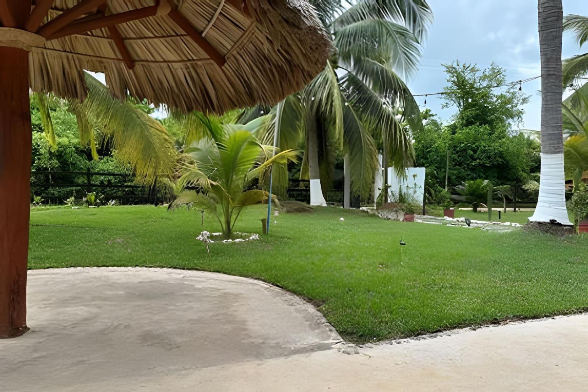 Casa Las Palmas Playa La Saladita Zihuatanejo Esterno foto