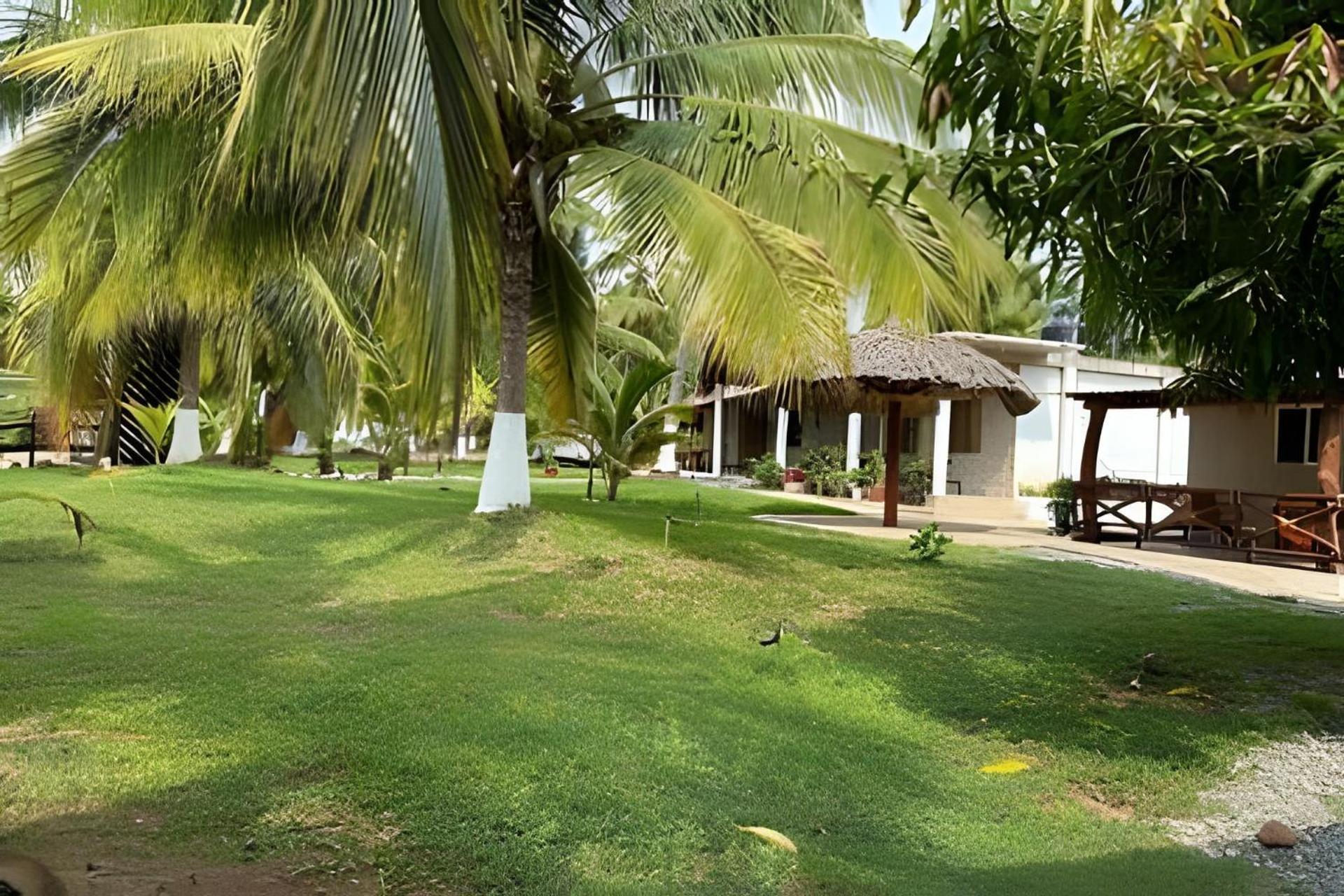 Casa Las Palmas Playa La Saladita Zihuatanejo Esterno foto