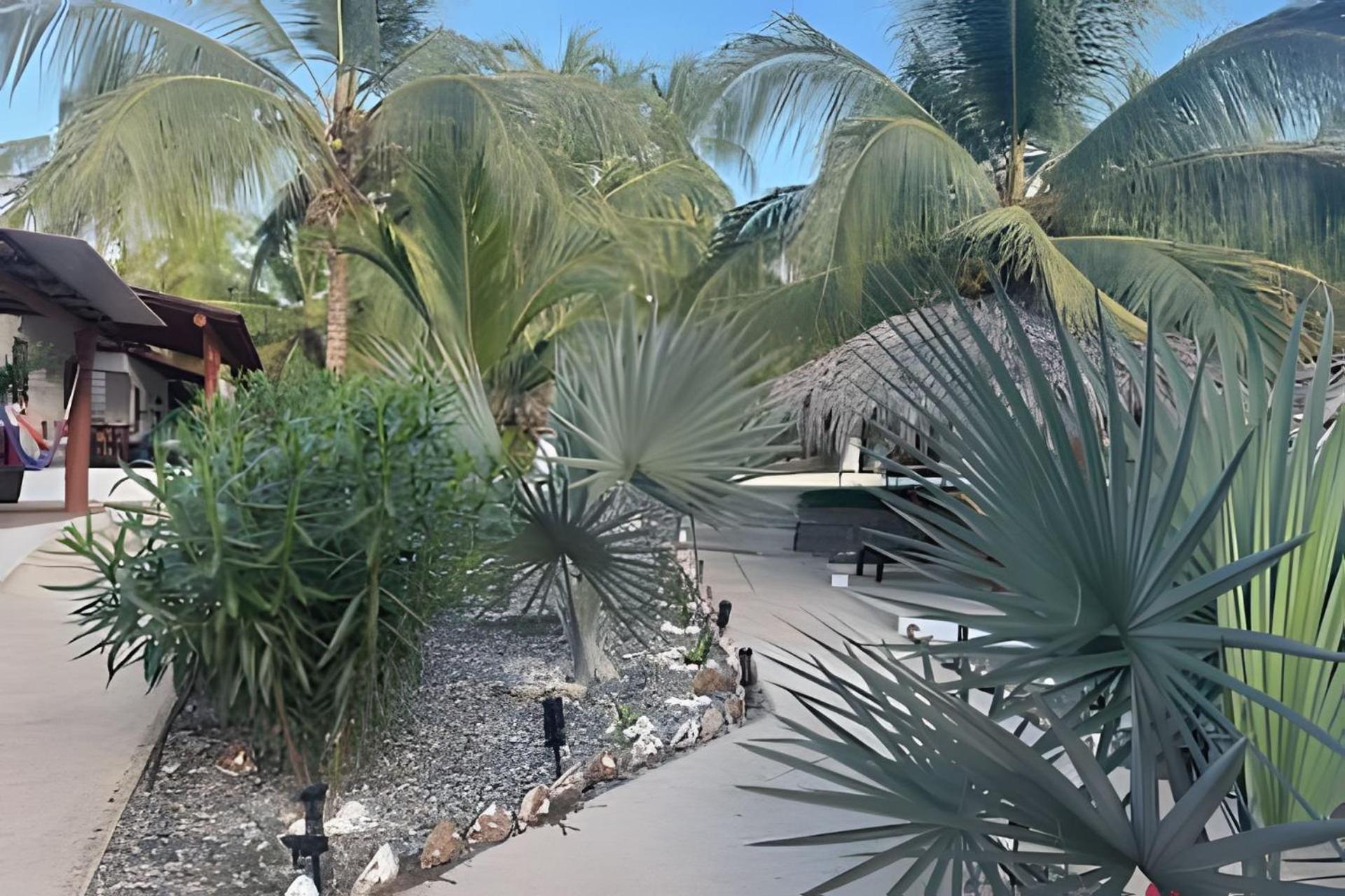 Casa Las Palmas Playa La Saladita Zihuatanejo Esterno foto