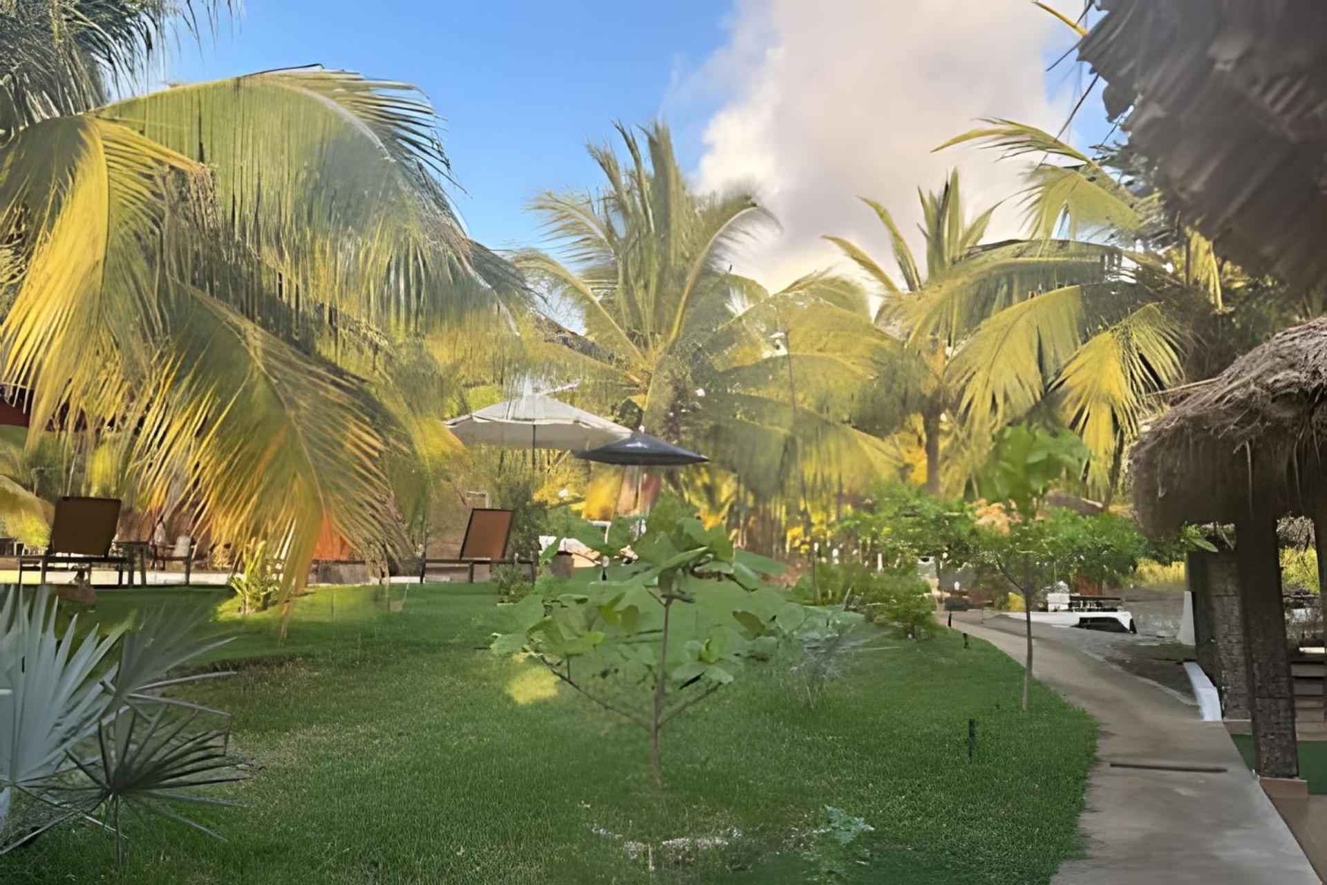 Casa Las Palmas Playa La Saladita Zihuatanejo Esterno foto