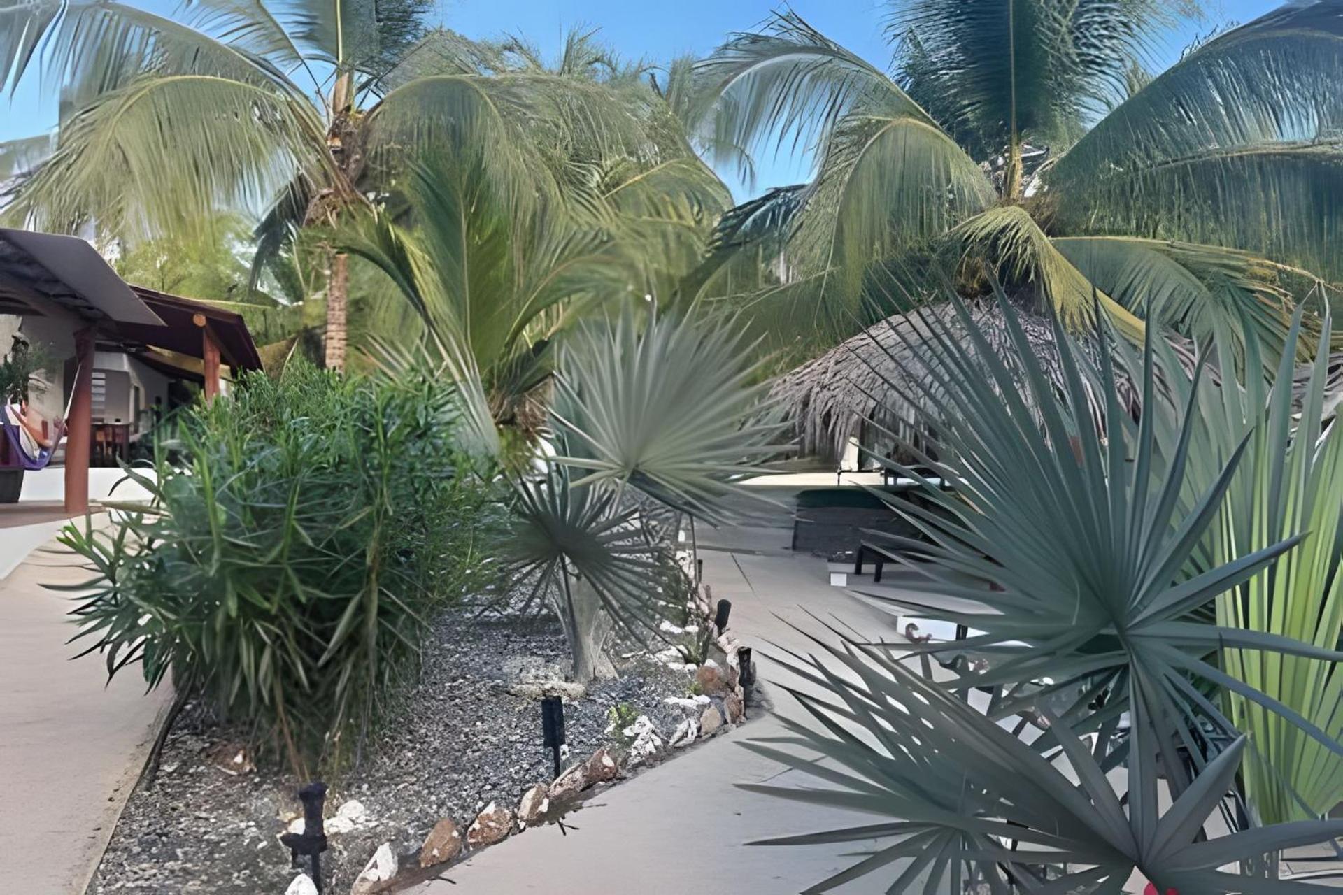 Casa Las Palmas Playa La Saladita Zihuatanejo Esterno foto