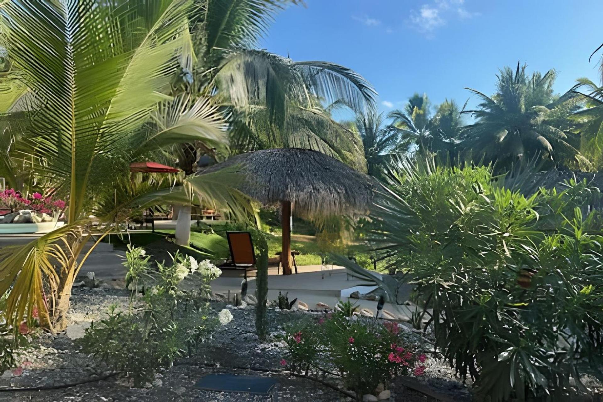 Casa Las Palmas Playa La Saladita Zihuatanejo Esterno foto