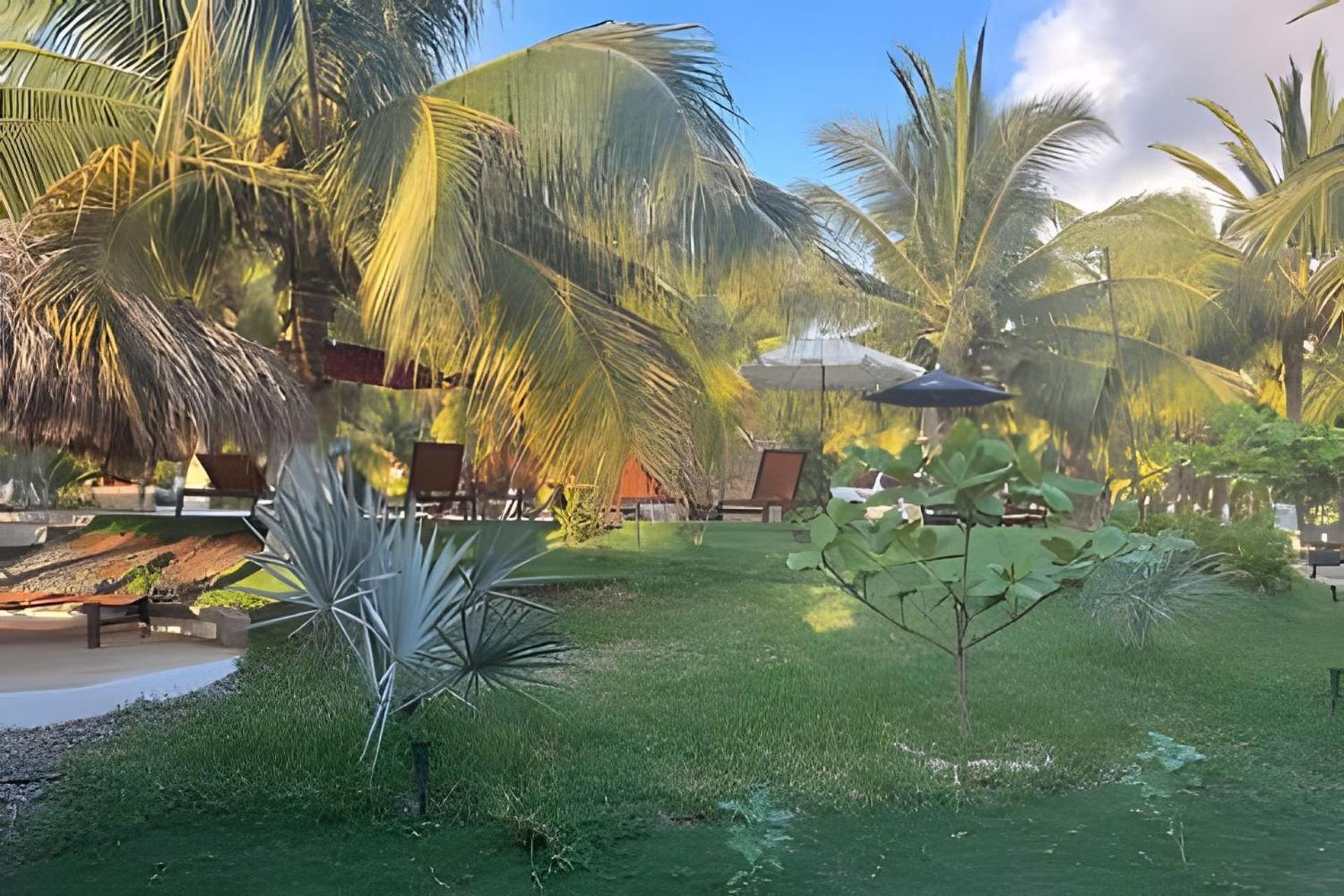 Casa Las Palmas Playa La Saladita Zihuatanejo Esterno foto