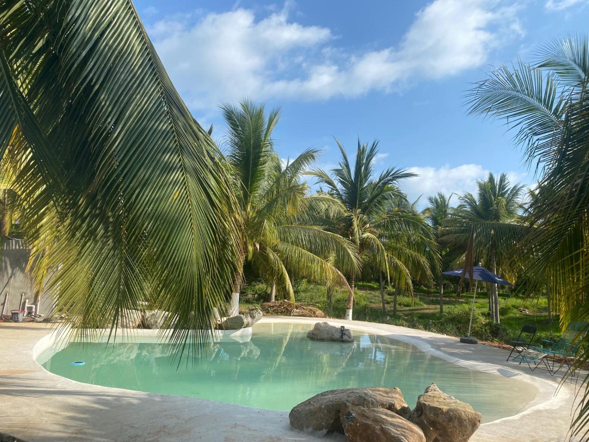Casa Las Palmas Playa La Saladita Zihuatanejo Esterno foto